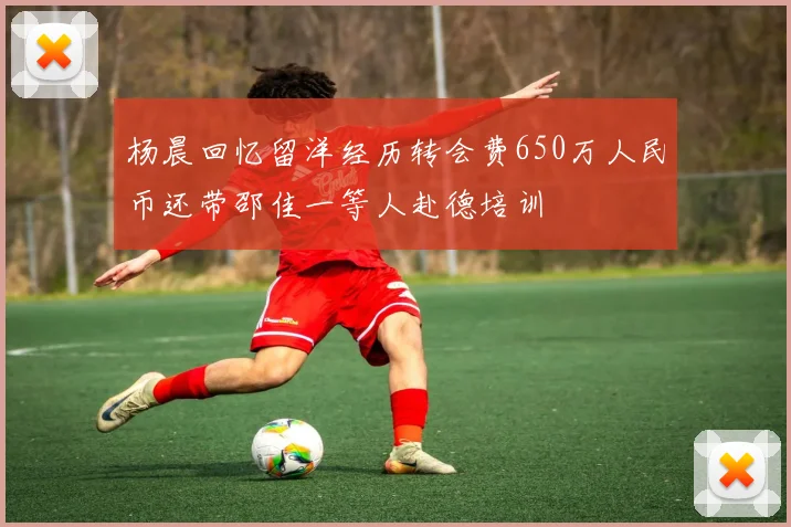 杨晨回忆留洋经历转会费650万人民币还带邵佳一等人赴德培训